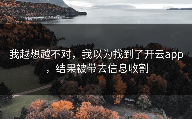 我越想越不对，我以为找到了开云app，结果被带去信息收割