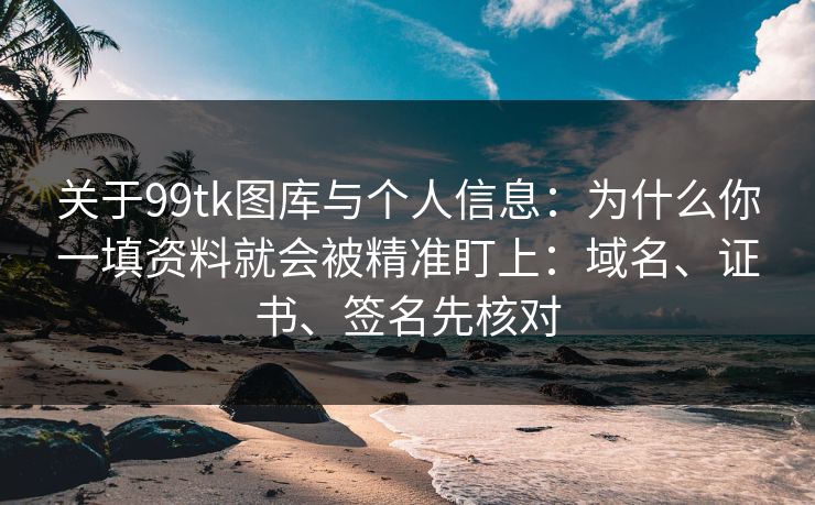 关于99tk图库与个人信息：为什么你一填资料就会被精准盯上：域名、证书、签名先核对